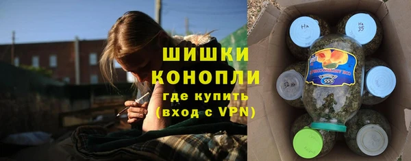 apvp Богородск