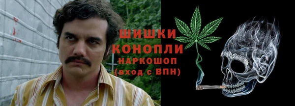 прущие грибы Богданович
