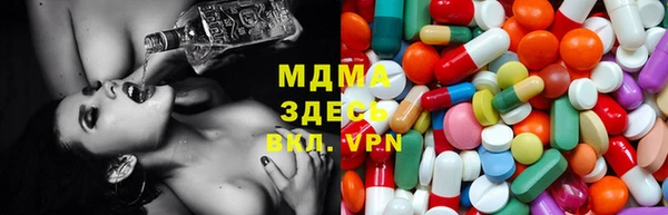 прущие грибы Богданович