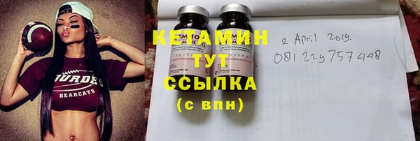 прущие грибы Богданович
