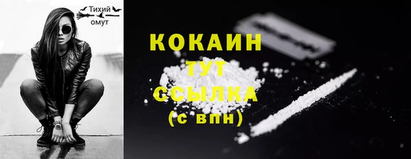 ГАЛЛЮЦИНОГЕННЫЕ ГРИБЫ Бородино