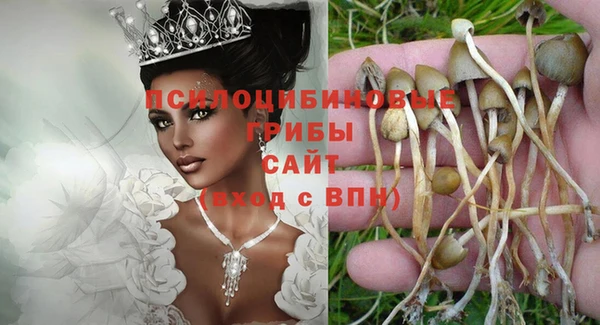 меф Богородицк
