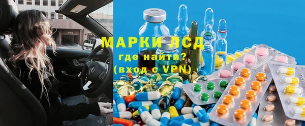прущие грибы Богданович
