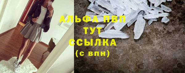 прущие грибы Богданович