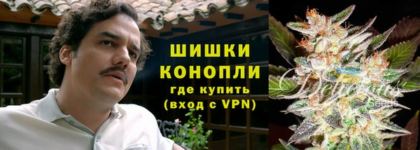 PSILOCYBIN Россошь