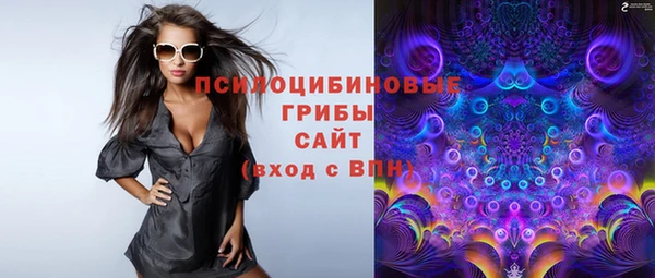 ГАЛЛЮЦИНОГЕННЫЕ ГРИБЫ Бородино