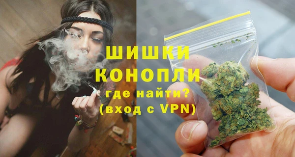 прущие грибы Богданович