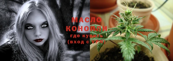 прущие грибы Богданович