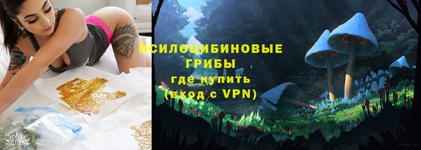 прущие грибы Богданович